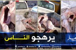 الجلفة: حجز لحوم حمراء فاسدة بالسوق الأسبوعي في البيرين
