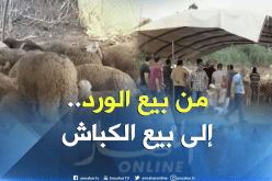 مشاتل تتحول لأسواق منظمة لبيع الأضاحي