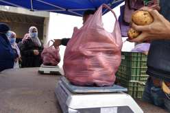 تموين السوق ببطاطا موسمية بسعر 55 دج