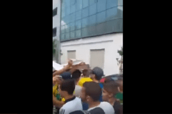 بالفيديو .. أنصار الكناري يجددون مطالبتهم برحيل حناشي