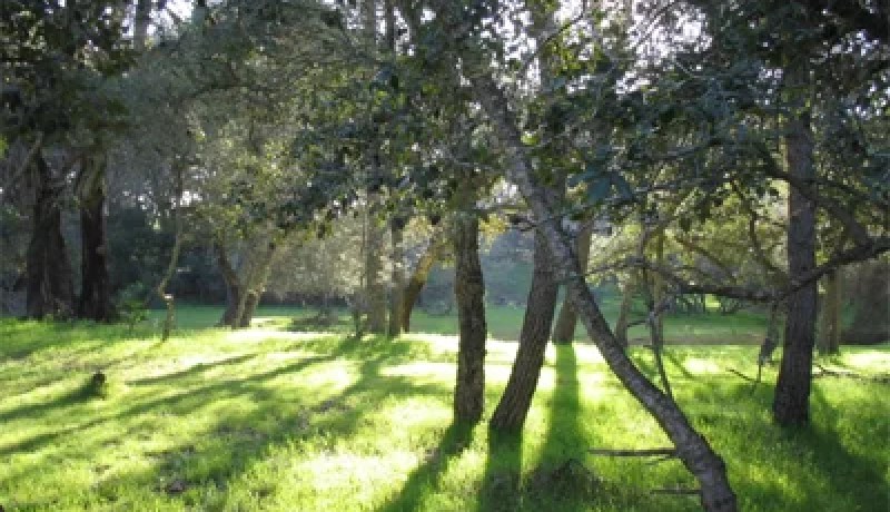 ‮''‬كلونديستان‮'' ‬يرمي‮ ‬بفتاة وسط الغابة لرفضها ممارسة الجنس معه في‮ ‬أرزيو