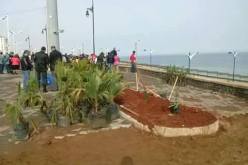 صور لحملة تشجير في بومرداس