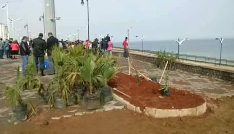 صور لحملة تشجير في بومرداس