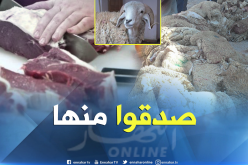 إمام: الأضحية هدية لله…ولا يجوز بيع جزء منها