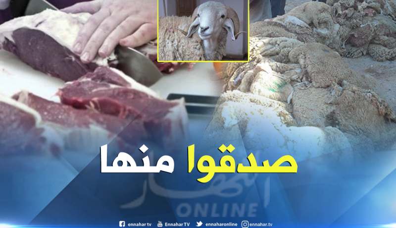 إمام: الأضحية هدية لله…ولا يجوز بيع جزء منها