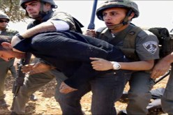 قوات الإحتلال الإسرائيلي تعتقل فلسطينيا جنوب الخليل