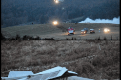 أول صورة للطائر الجزائرية التي سقطت في فرنسا