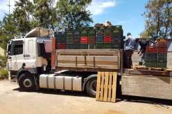 ضخ كميات جديدة من البطاطا لأسواق الجملة لأجل إستقرار الأسعار