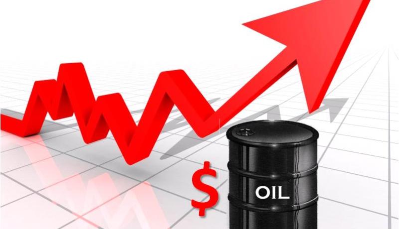 إرتفاع أسعار النفط إلى 56 دولار للبرميل