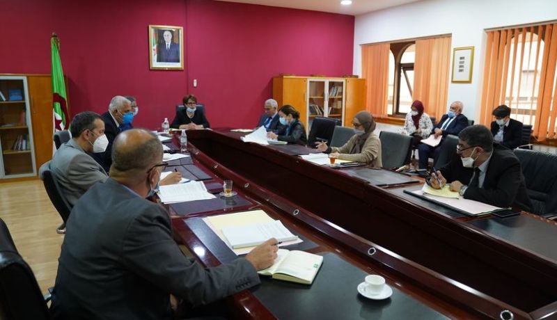 تنصيب اللجنة المتخصّصة في الإعانة والتمويل “الصندوق الوطني للتّراث الثقافي”