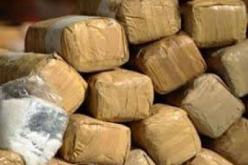 مصالح الجيش تحجز 1000 كلغ من المخدرات بين ولايتي بشار و النعامة