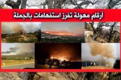 1604 حريق أتلفت 14 ألف هكتار من الغابات منذ 1 جوان