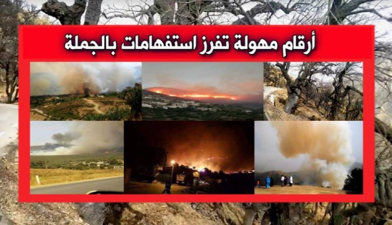 1604 حريق أتلفت 14 ألف هكتار من الغابات منذ 1 جوان