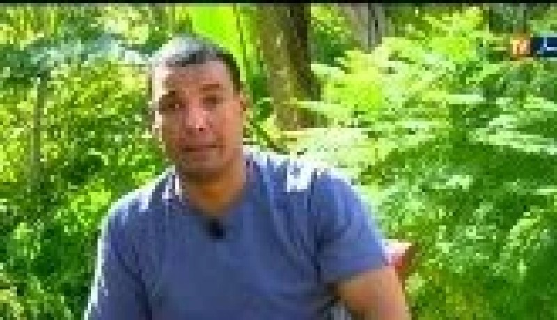 بالفيديو..هشام الجخ للنهار: غزة صمدت وليس انتصرت وعلى حكام العرب أن يستفيقوا