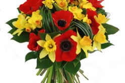 برمجة نشاط ثقافي و فني ثري بالجزائر العاصمة