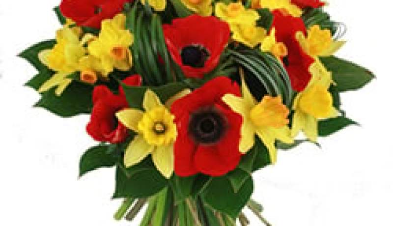 برمجة نشاط ثقافي و فني ثري بالجزائر العاصمة