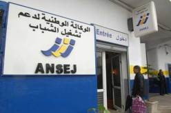 الوكالة الوطنية لدعم تشغيل الشباب تمول 24 ألف مشروع خلال السنة الجارية