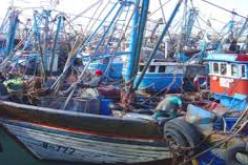 مشروع قانون الصيد البحري يعرض أمام المجلس الشعبي الوطني