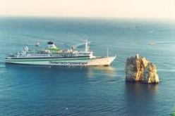 بالصور: العثور على حوت ضخم في ميناء تلمسان