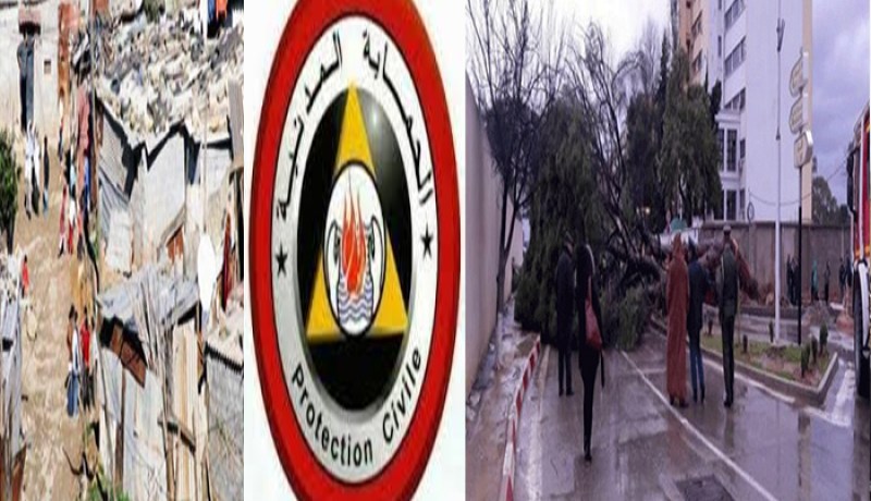 سقوط 18 شجرة و3 بيوت قصديرية جراء الرياح القوية بالعاصمة