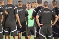 مفارقة عجيبة بين الجزائر ومصر والمغرب خلال الكان والمونديال