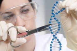 اكتشاف جديد يبشّر بعلاج أمراض مزمنة