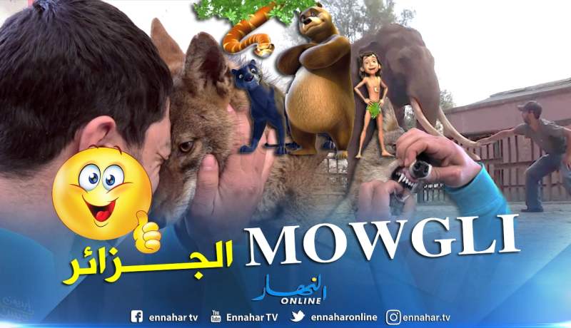 شاهد كيف إستطاع ماوكلي الجزائر ترويض الحيوانات المفترسة