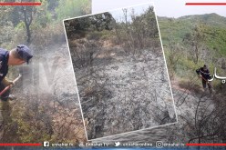 الحماية المدنية تنجح في إخماد حريق في أماكن وعرة وبتعاون المواطنين بالبليدة