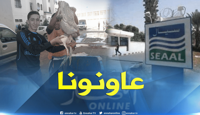 هكذا تستعد “سيال” لعيد الأضحى