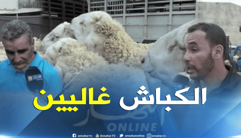 بالفيديو ..كبش العيد لمن استطاع اليه سبيلا !