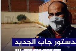 بالفيديو.. مدوار :”الدستور الجديد يُلبي مطالب الحراك المُبارك”