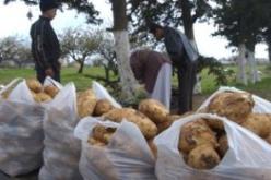 قرابة المليون فلاح لم يستفيدوا من قرض الرفيق