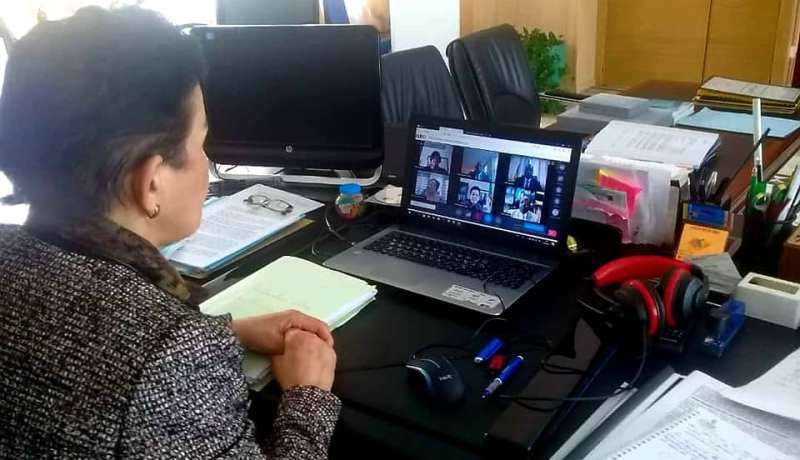 وزيرة البيئة تؤكد على ضرورة تجسيد البرنامج الإفريقي للإنعاش الأخضر
