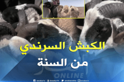 “كبش السرندي” بين معتقدات الاجداد و السنة الشريفة