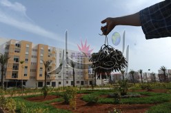 مكتتبو عدل يواصلون اختيار مواقع سكناتهم الجديدة