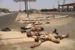 مصرع 11 من عناصر الحوثيين بتعز في اليمن