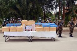 توقيف 26 بارون مخدرات وحجز أزيد من 16 قنطار زطلة