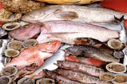 80قنطارا من السمك الفاسد كانت مهربة من تونس باتجاه الجزائر.