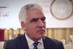 محمد الرعيض: شركات ليبية تريد الإستفادة من الخبرة الجزائرية في الطاقة والفلاحة ومواد البناء