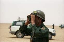 توقيف 4 مهربين بالجنوب وضبط 237 كلغ من الكيف بغرب البلاد