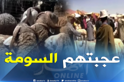 هذا هو سبب إقبال المواطنين على أسواق المواشي في تيارت