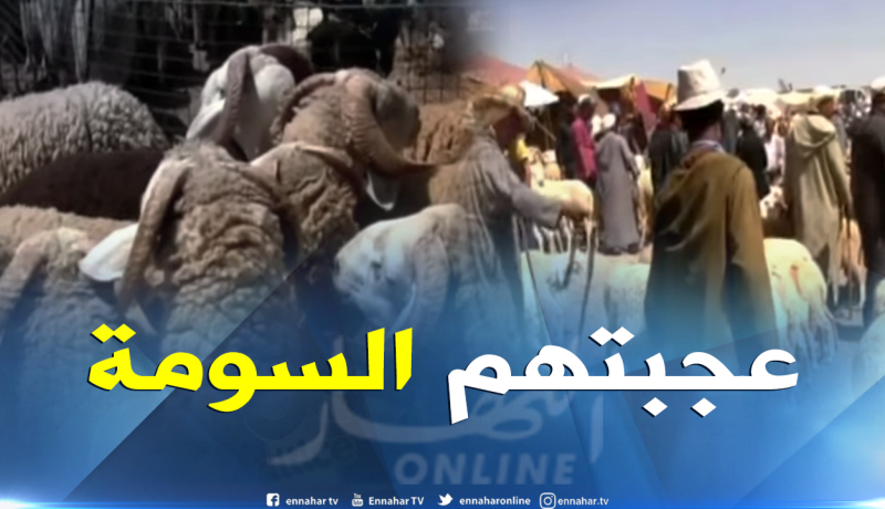 هذا هو سبب إقبال المواطنين على أسواق المواشي في تيارت