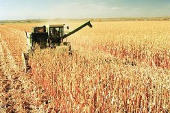 استغلال وتحويل أزيد من 46 هكتارا من الأراضي في بومرداس بطريقة غير قانونية