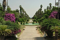 حديقة التجارب العلمية تحيي اليوم العالمي للشجرة بجملة من النشاطات الهادفة