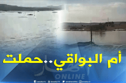 أم البواقي: أمطار طوفانية تجتاح بلدية بحير الشرقي دائرة مسكيانة