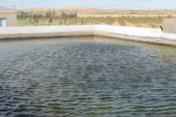 العثور على جثة طفلة غرقت داخل حوض للسّقي في الجلفة