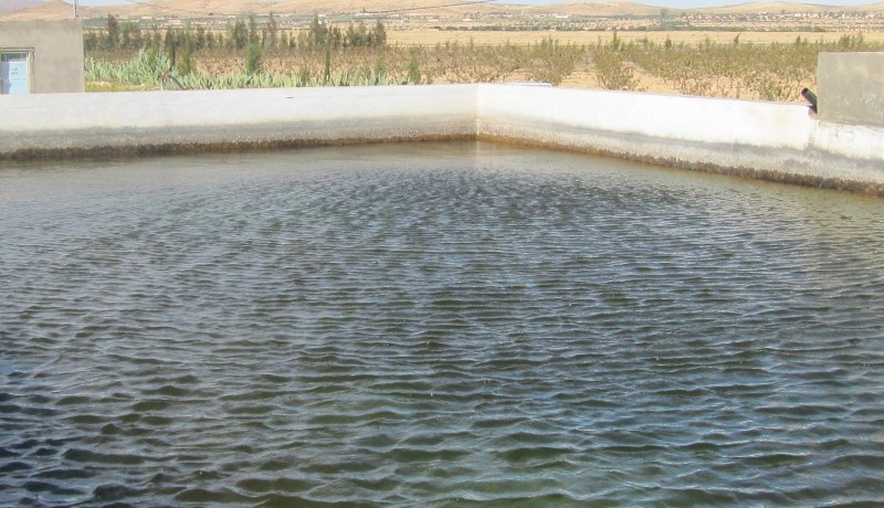 العثور على جثة طفلة غرقت داخل حوض للسّقي في الجلفة