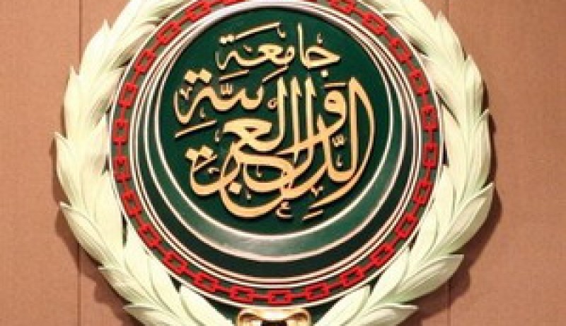 وصول بعثة ملاحظي الجامعة العربية للانتخابات الرئاسية المقبلة إلى الجزائر