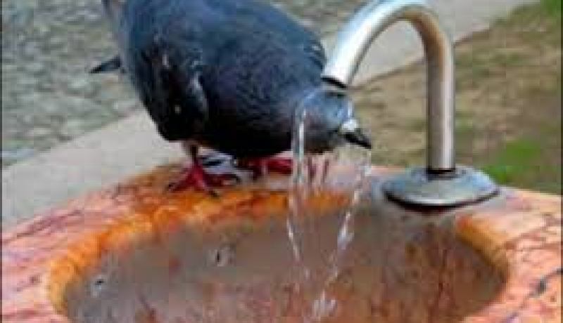 ارتفاع محسوس في درجة الحرارة الأيام المقبلة