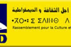 الارسيدي يعتبر نجاح الانتقال الديمقراطي شرطا للحفاظ على كيان الأمة الجزائرية